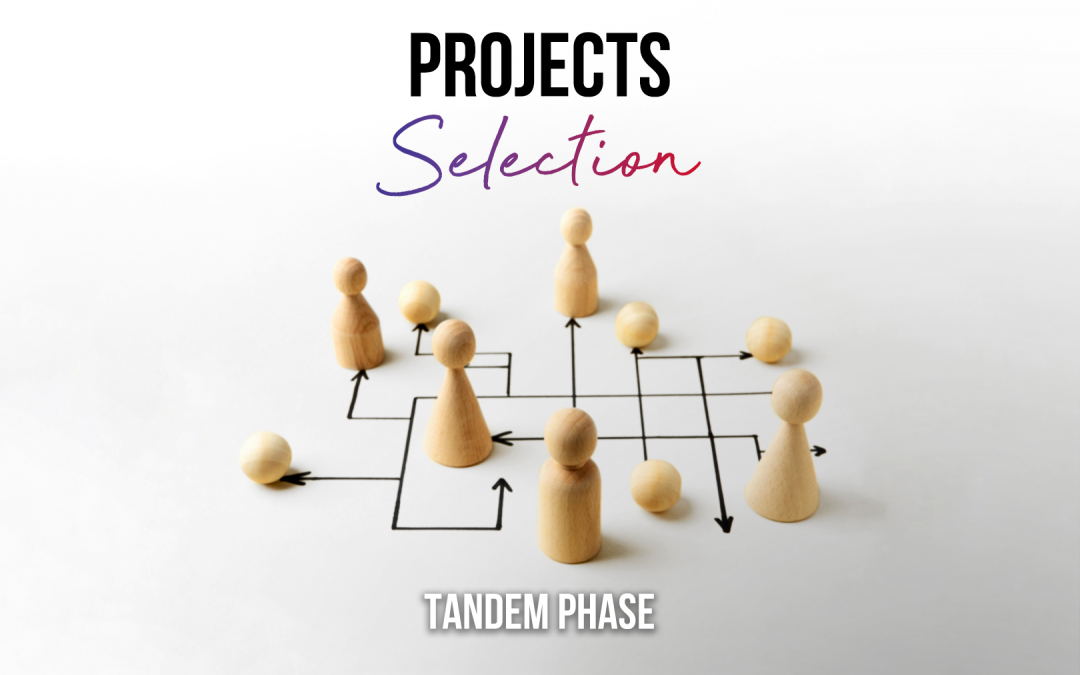 TANDEM PHASE – Projects Selection